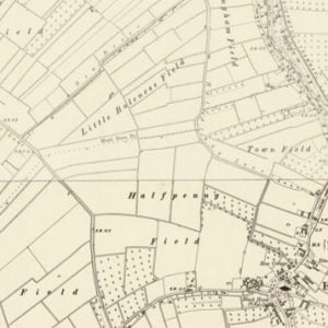 Manor of Brokene or Halstead, Elm map