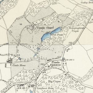 Manor of Combe Brabis, Chiddingfold map