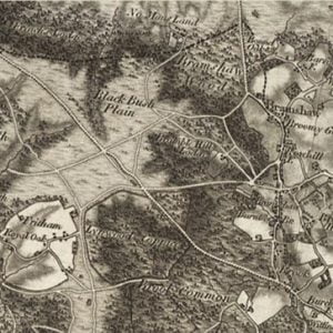 Manor of Fritham map