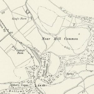 Manor of Goleigh map