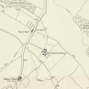 Manor of Pepsall map