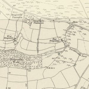 Manor of Ringcombe map