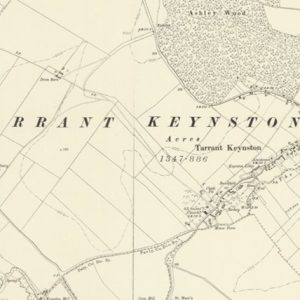 Barony of Tarrant Keynston map