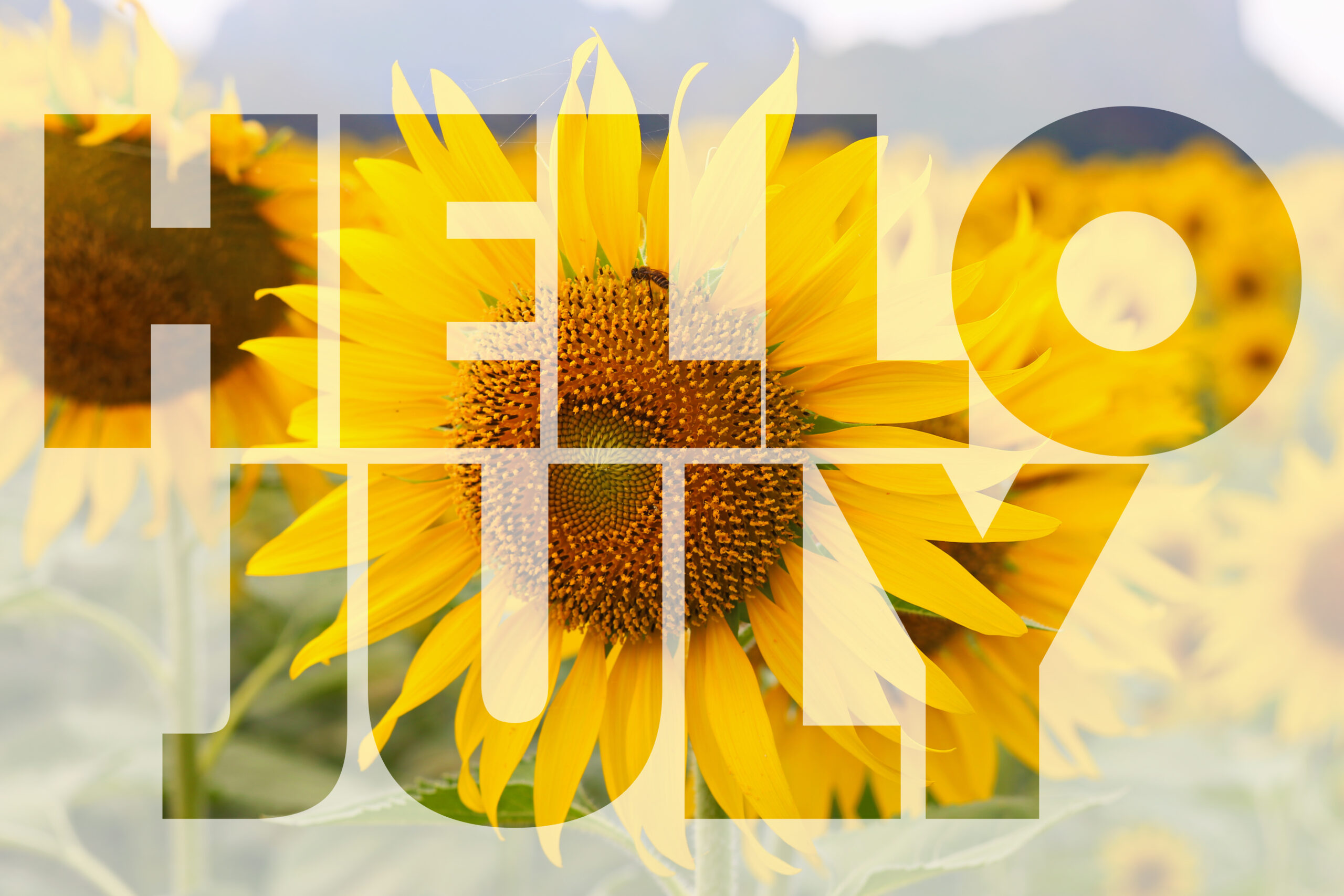 Hello July!